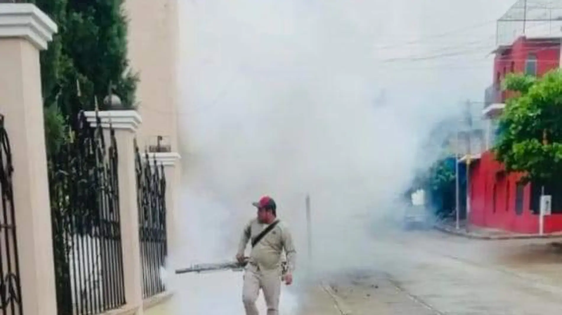 fumigaciones prevencion salud